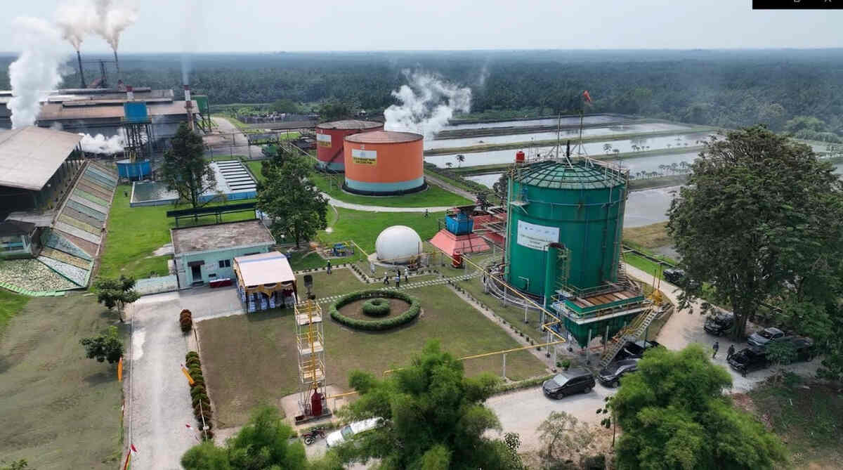 ROA PalmCo Tembus 7,9 Persen, Sinyal Penguatan Kinerja Aset Holding Perkebunan Nusantara