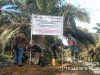 Ambil Sawit Di Lahan Tak Bertuan, Kantor Hukum Bintang Keadilan Prapidkam Polres Padanglawas