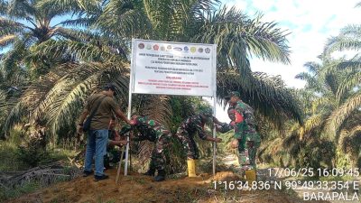 Ambil Sawit Di Lahan Tak Bertuan, Kantor Hukum Bintang Keadilan Prapidkam Polres Padanglawas